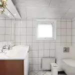 Pet Friendly In With Sauna *