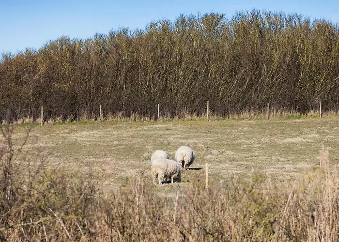 Pet Friendly In With Sauna Дом отдыха